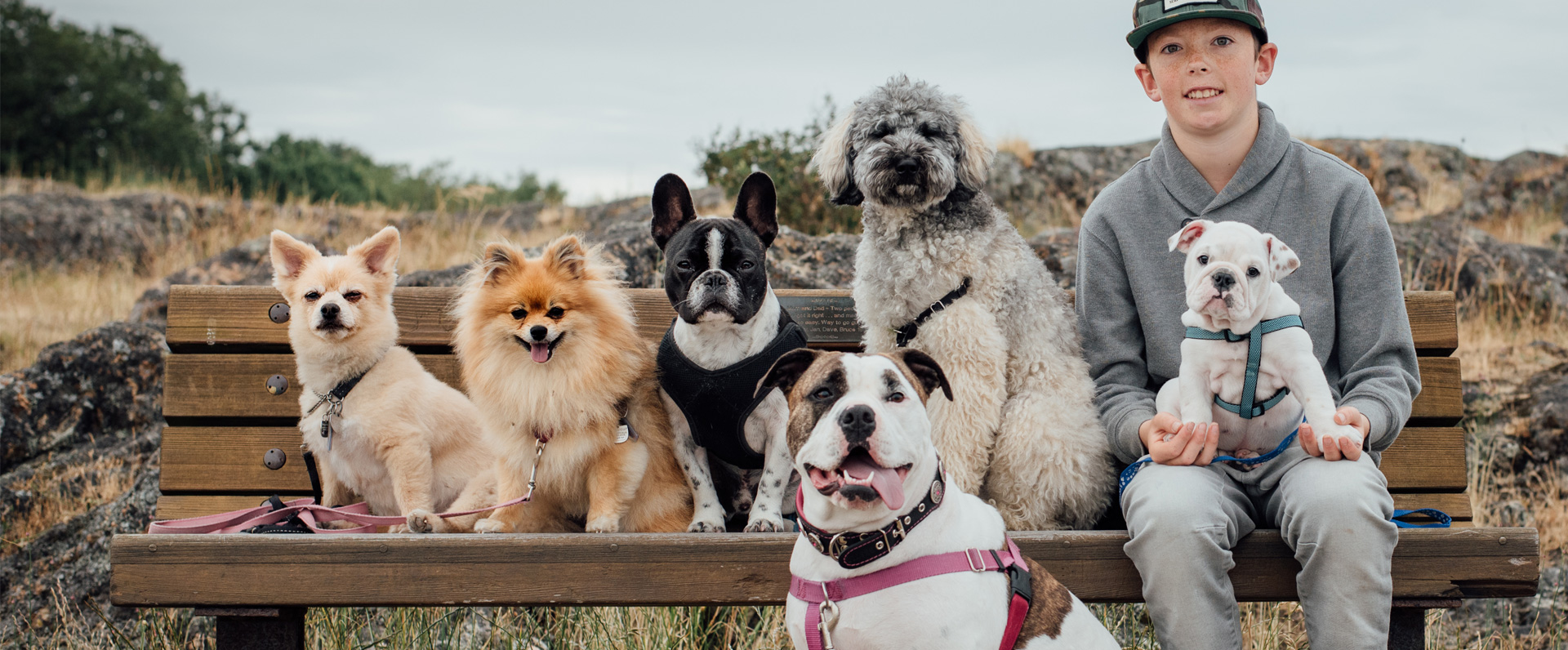 My Pet Nanny Professional Pet Care Pet Walking Serving Sooke Area